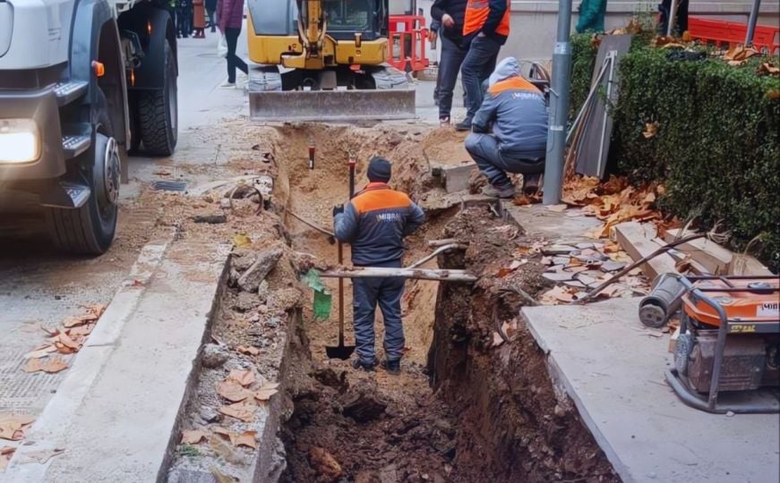 Oglasio se ViK o aktivnostima: Deratizacija mreže slijedi tek kada tender bude odobren