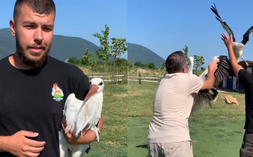 Lijepa priča iz zoološkog vrta ‘Bambi’: “Danas rode puštamo u prirodu, sretno pod nebeskim svodom”