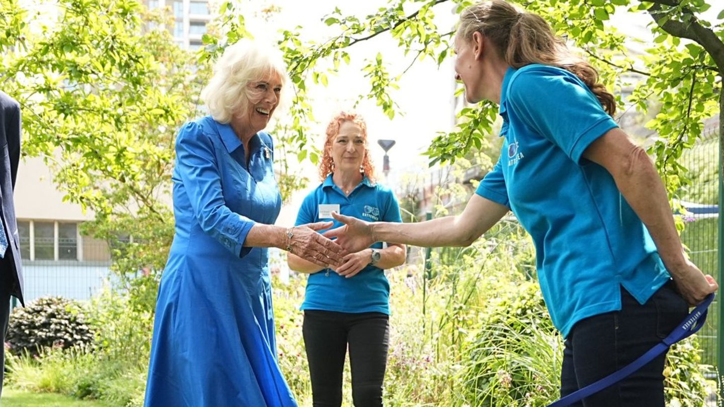 Queen Camilla otvara “baštu za pse”: zato kučka moley nije bila tamo