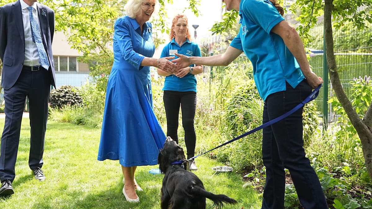 Queen Camilla u “Baštu za pse”: tako da kučka moley nije dozvoljena