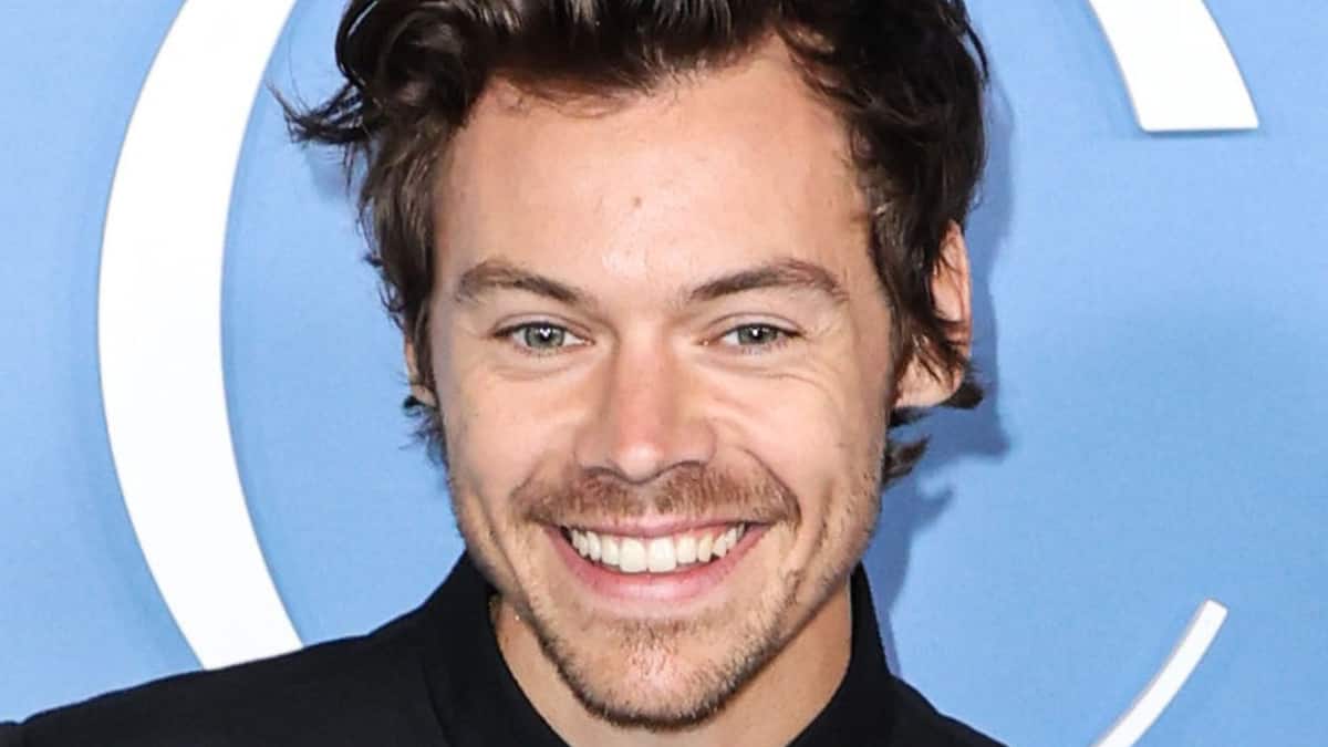 Nema “provokacije”: Harry Styles prodaje vibrator i mazivo