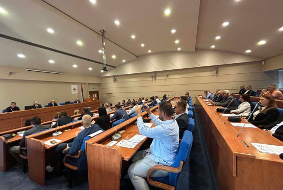 DNS i NPS o odluci CIK BiH: Boriti se protiv neprava i sile