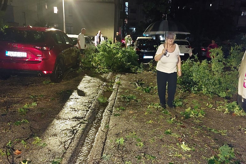 Olujno nevrijeme zahvatilo Mostar:  Vjetar rušio stabla, grane padale na vozila